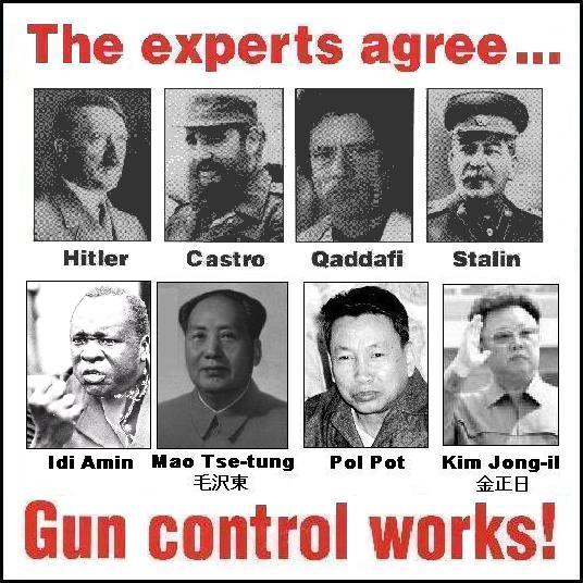 gun_control_works2.JPG