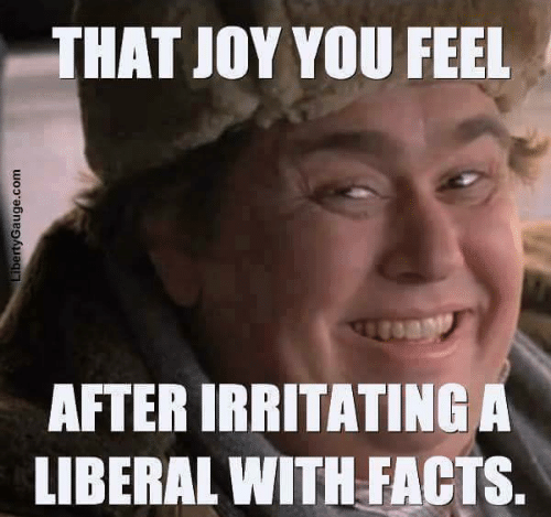 hat-joy-you-feel-after-irritating-a-liberal-with-facts-21411610~2.png