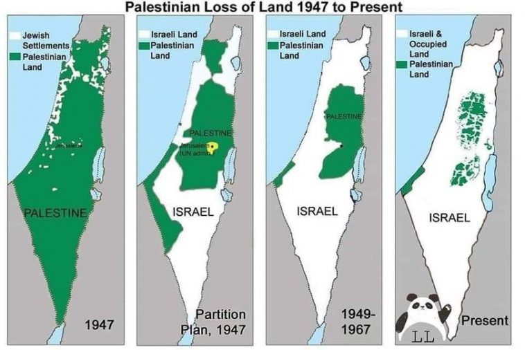 palestine.jpg