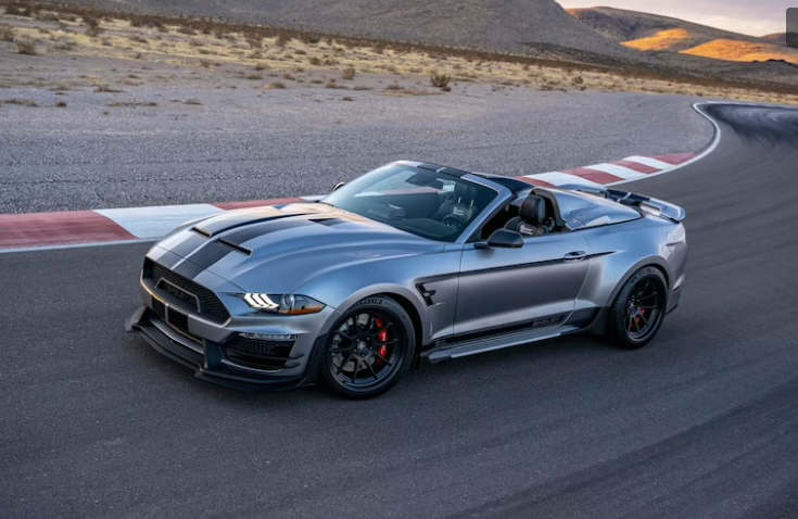 Super Snake-1-Speedster-crpd.JPG