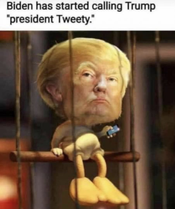 tweety.jpg